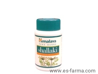 Shallaki